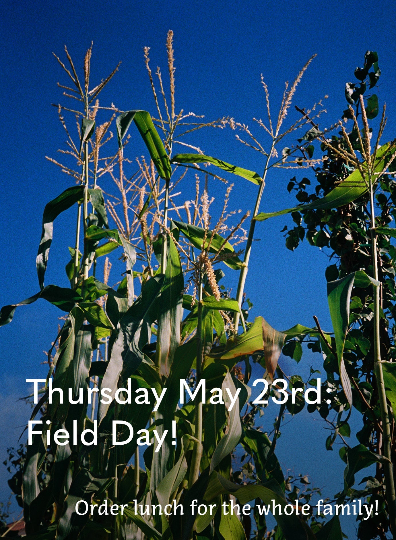 Thu May 23rd - FIELD DAY